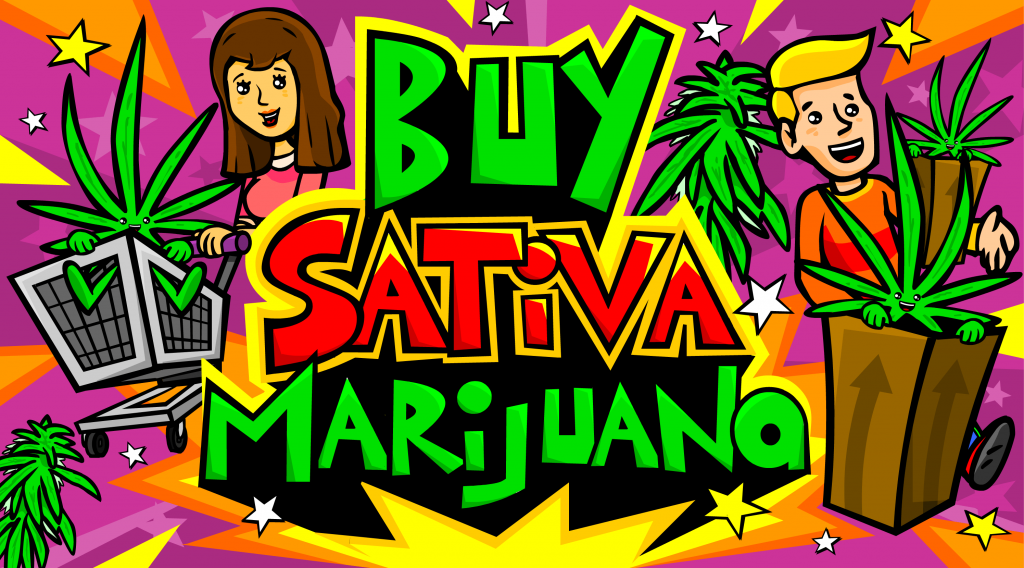 buy-sativa-marijuana