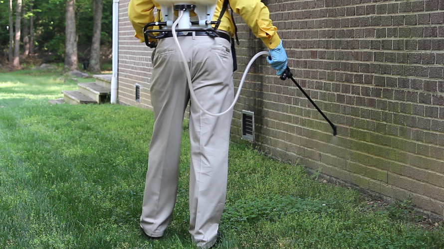 Selecting A Pest Control Provider In Hertfordshire